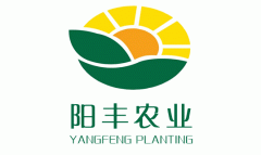 公司簽約邯鄲陽豐農(nóng)業(yè)公司網站(zhàn)建設項目