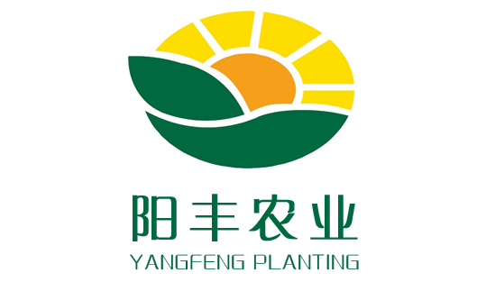 邯鄲陽豐綠(lǜ)色農(nóng)業(yè)邯鄲網站(zhàn)建設案例www.hdscwl.com